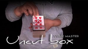 UNCUT BOX by Tybbe Master -DOWNLOAD - Download